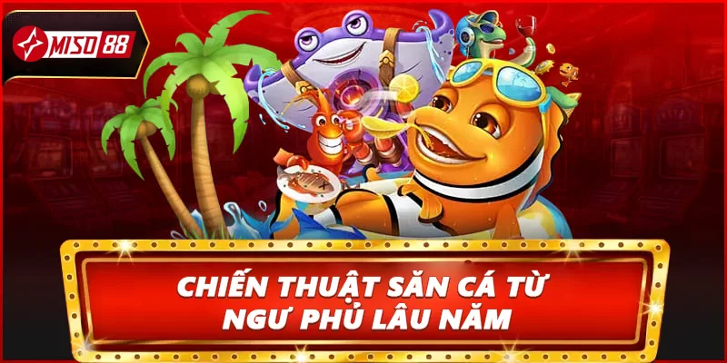 Chiến thuật săn cá từ ngư phủ lâu năm