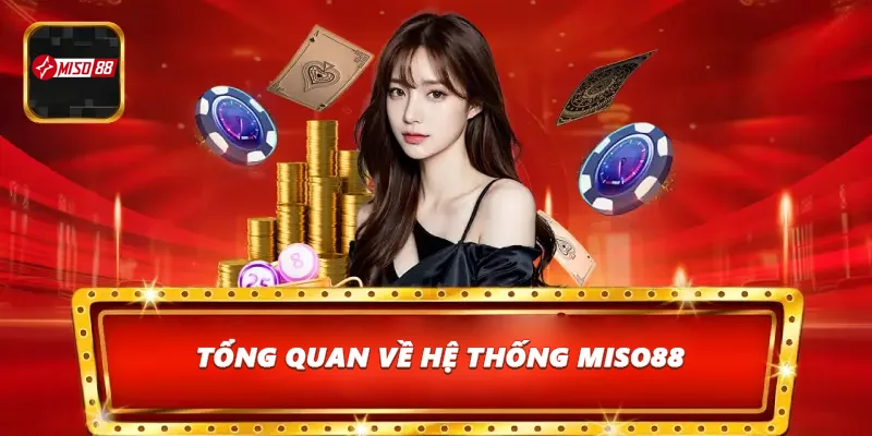 Cái nhìn toàn cảnh về hệ thống Miso88